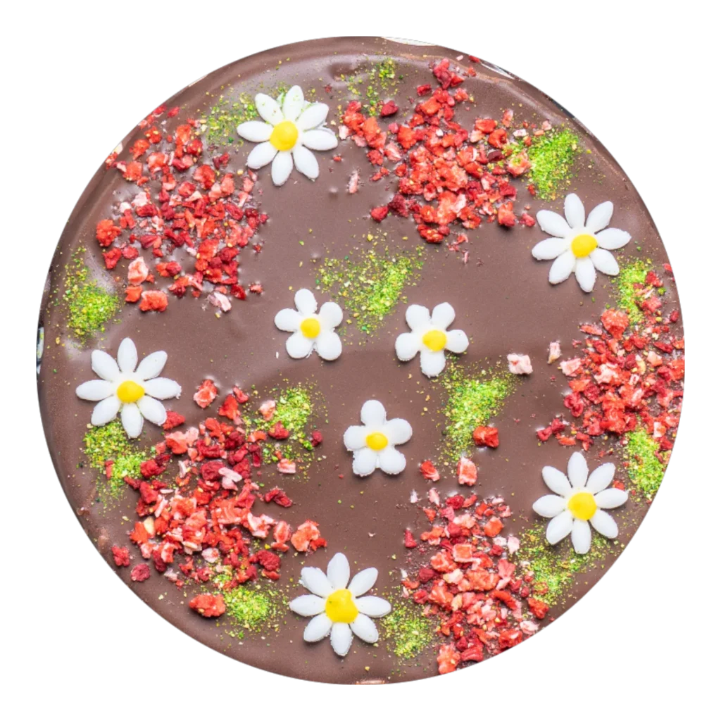 TeelePagar-01578
